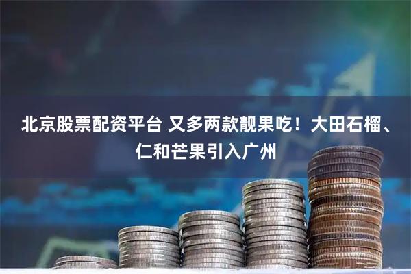 北京股票配资平台 又多两款靓果吃！大田石榴、仁和芒果引入广州